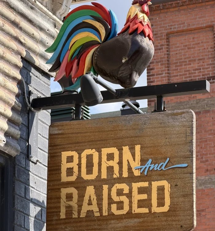 Born N Raised restaurant fit-out in Hamilton by MTZ Contracting